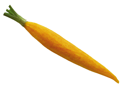 peeled_baby_yellow_carrot.jpg