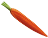 carrot_corn