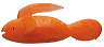 carrot_fish