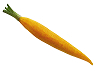 peeled_baby_yellow_carrot