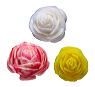 turnip_gold_and_candy__rose