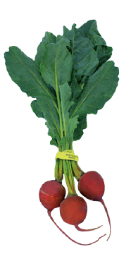baby_gold_beets.jpg